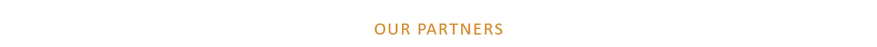 OUR PARTNERS 